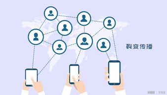 開發(fā)寶全面升級(jí)會(huì)員權(quán)益 為企業(yè)提供定制化專屬軟件外包服務(wù)